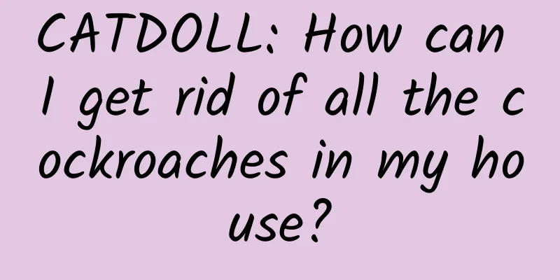 CATDOLL: How can I get rid of all the cockroaches in my house?