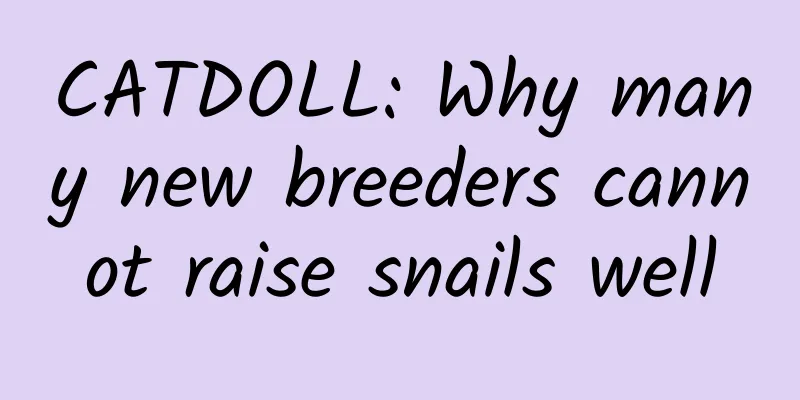 CATDOLL: Why many new breeders cannot raise snails well