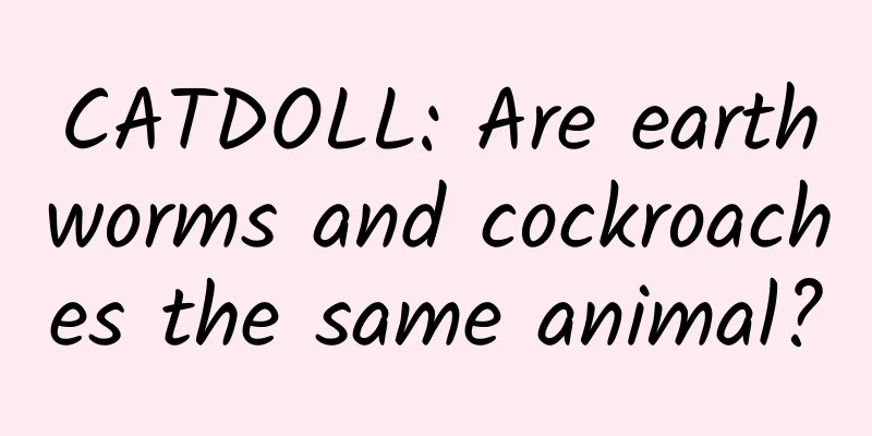 CATDOLL: Are earthworms and cockroaches the same animal?