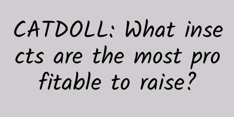 CATDOLL: What insects are the most profitable to raise?
