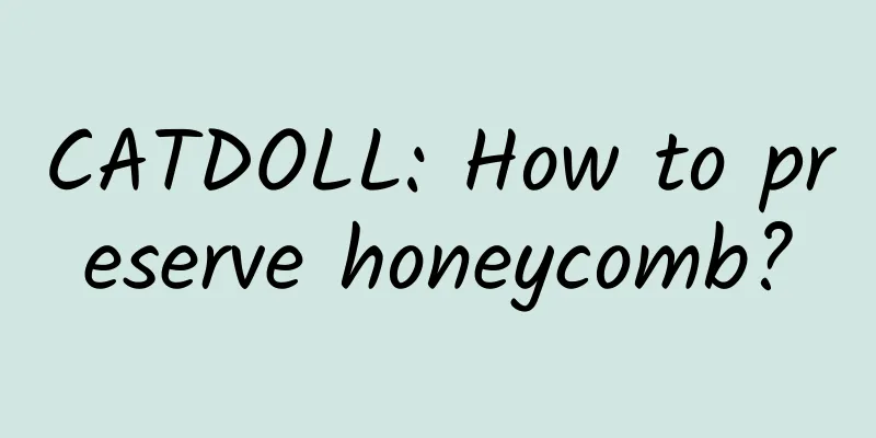 CATDOLL: How to preserve honeycomb?
