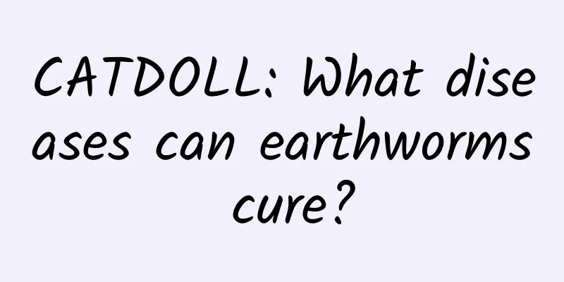CATDOLL: What diseases can earthworms cure?