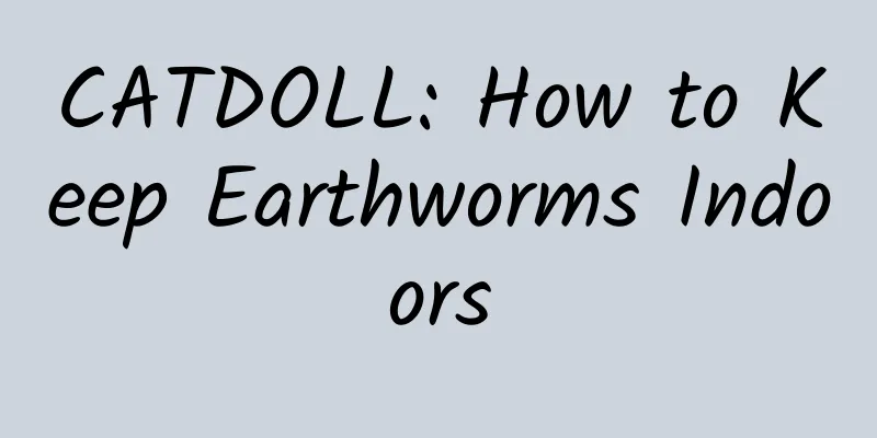 CATDOLL: How to Keep Earthworms Indoors