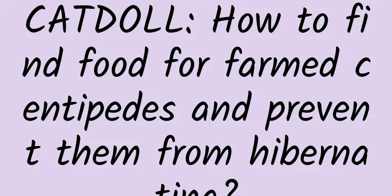 CATDOLL: How to find food for farmed centipedes and prevent them from hibernating?