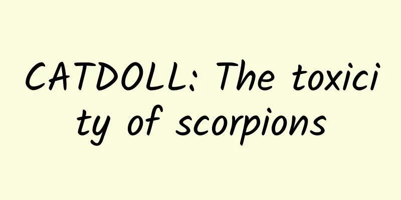 CATDOLL: The toxicity of scorpions