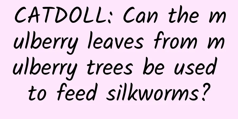 CATDOLL: Can the mulberry leaves from mulberry trees be used to feed silkworms?