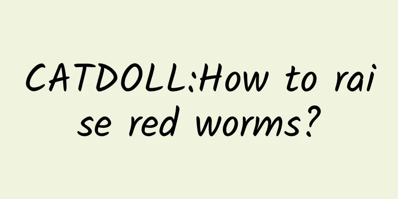 CATDOLL:How to raise red worms?