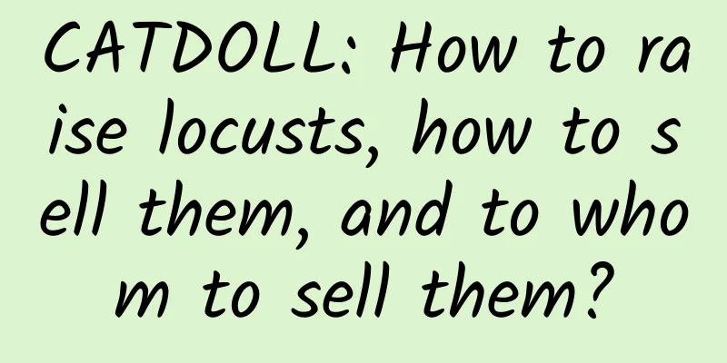 CATDOLL: How to raise locusts, how to sell them, and to whom to sell them?