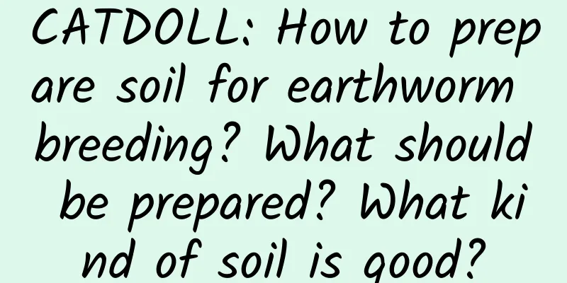 CATDOLL: How to prepare soil for earthworm breeding? What should be prepared? What kind of soil is good?