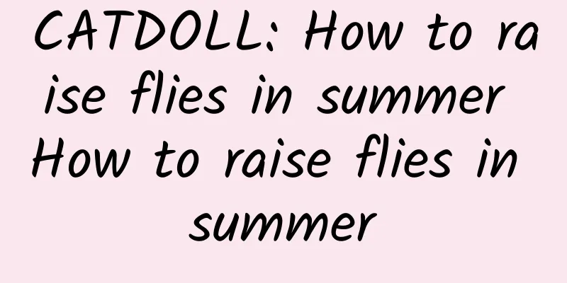 CATDOLL: How to raise flies in summer How to raise flies in summer