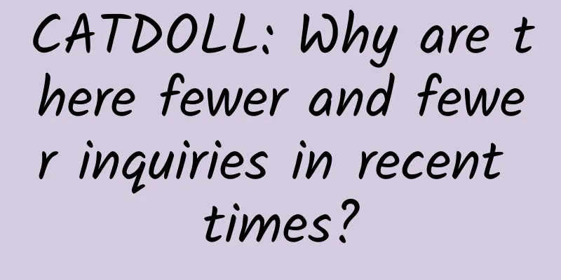CATDOLL: Why are there fewer and fewer inquiries in recent times?