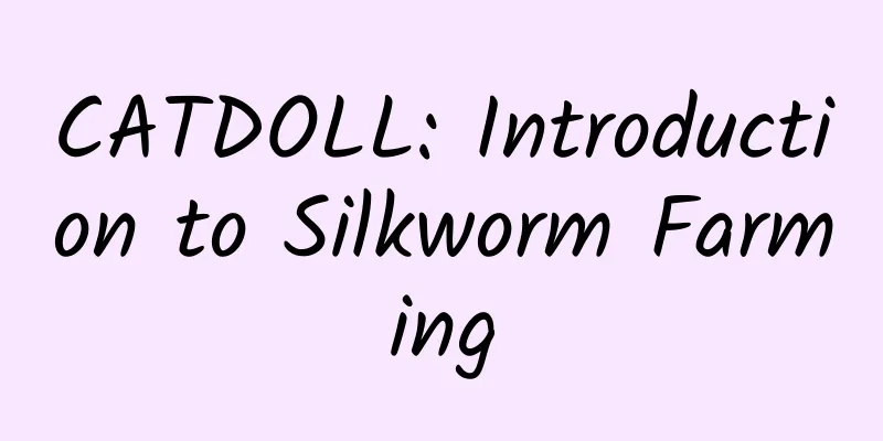 CATDOLL: Introduction to Silkworm Farming