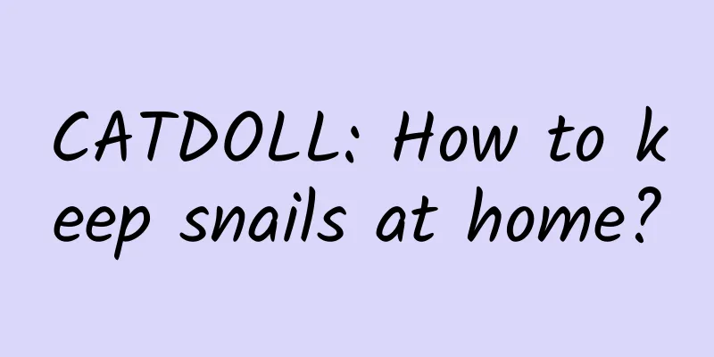 CATDOLL: How to keep snails at home?