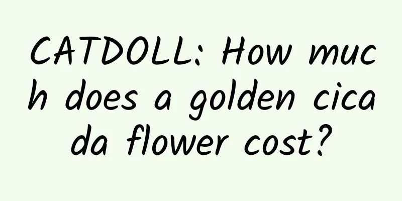 CATDOLL: How much does a golden cicada flower cost?