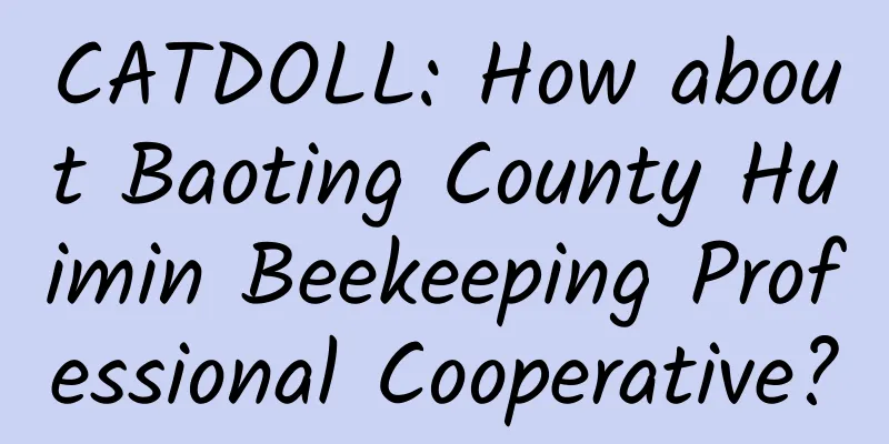 CATDOLL: How about Baoting County Huimin Beekeeping Professional Cooperative?