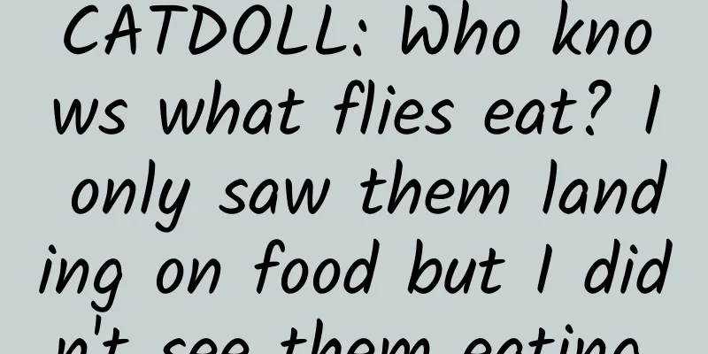 CATDOLL: Who knows what flies eat? I only saw them landing on food but I didn't see them eating.