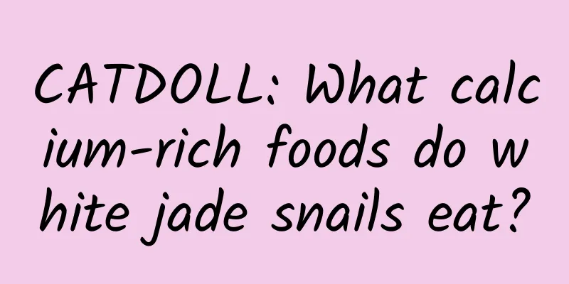 CATDOLL: What calcium-rich foods do white jade snails eat?