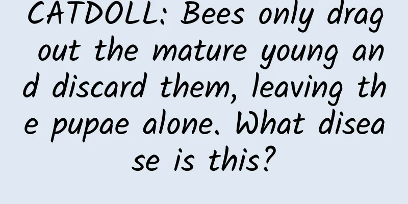 CATDOLL: Bees only drag out the mature young and discard them, leaving the pupae alone. What disease is this?