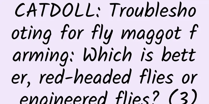 CATDOLL: Troubleshooting for fly maggot farming: Which is better, red-headed flies or engineered flies? (3)