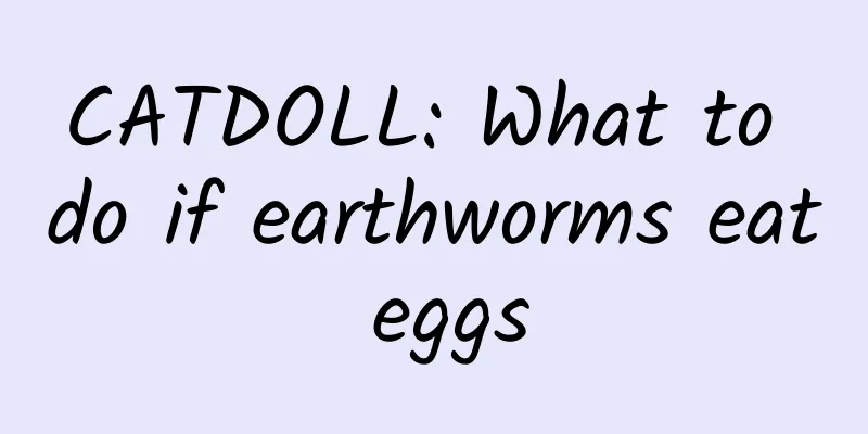 CATDOLL: What to do if earthworms eat eggs