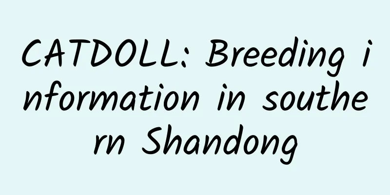 CATDOLL: Breeding information in southern Shandong
