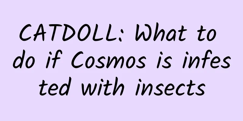 CATDOLL: What to do if Cosmos is infested with insects