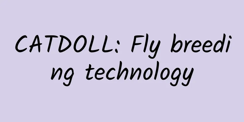 CATDOLL: Fly breeding technology