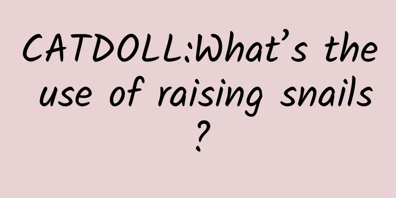 CATDOLL:What’s the use of raising snails?