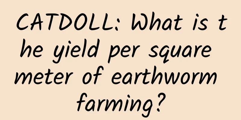 CATDOLL: What is the yield per square meter of earthworm farming?
