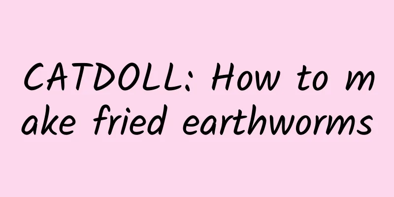 CATDOLL: How to make fried earthworms