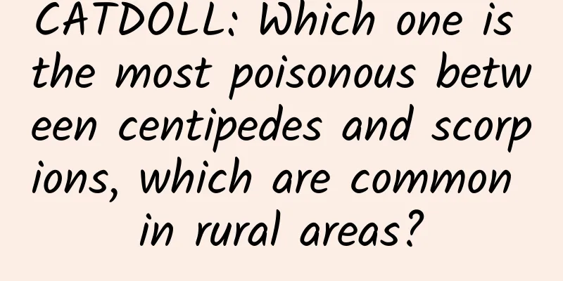 CATDOLL: Which one is the most poisonous between centipedes and scorpions, which are common in rural areas?