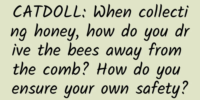 CATDOLL: When collecting honey, how do you drive the bees away from the comb? How do you ensure your own safety?