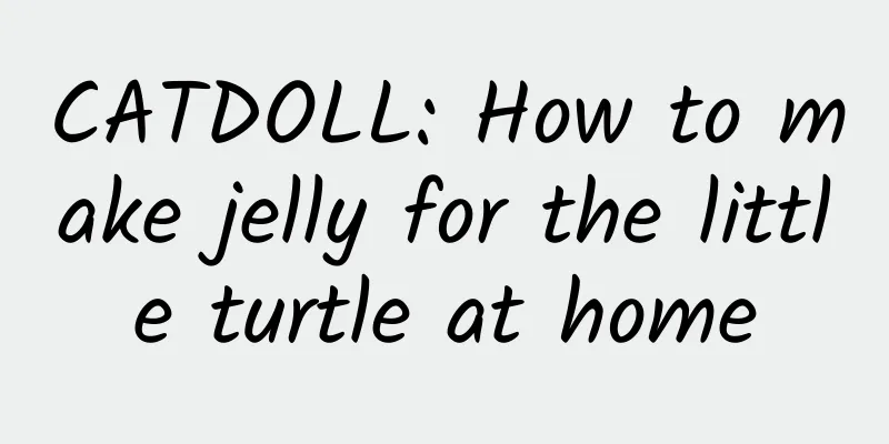 CATDOLL: How to make jelly for the little turtle at home