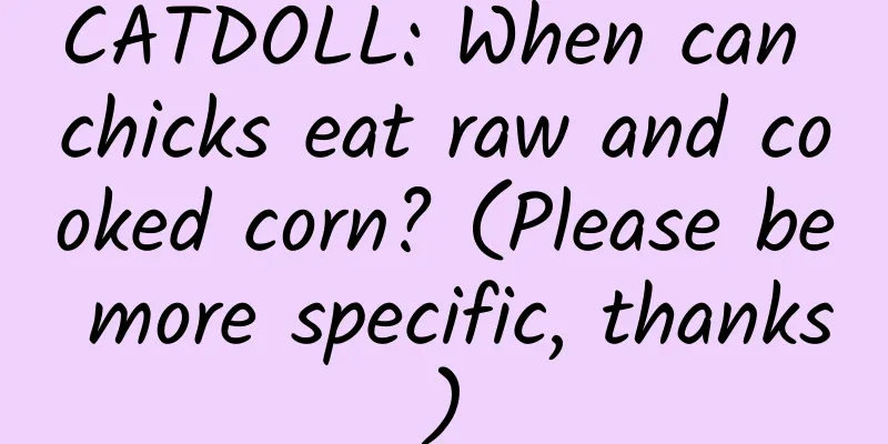 CATDOLL: When can chicks eat raw and cooked corn? (Please be more specific, thanks)