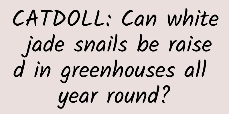 CATDOLL: Can white jade snails be raised in greenhouses all year round?