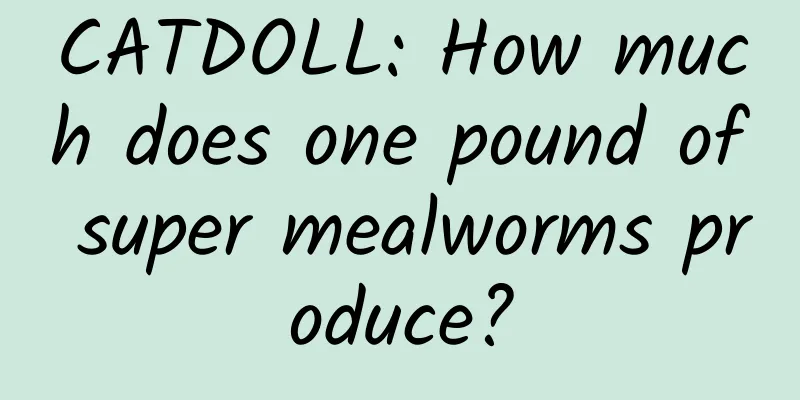 CATDOLL: How much does one pound of super mealworms produce?