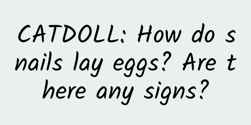 CATDOLL: How do snails lay eggs? Are there any signs?