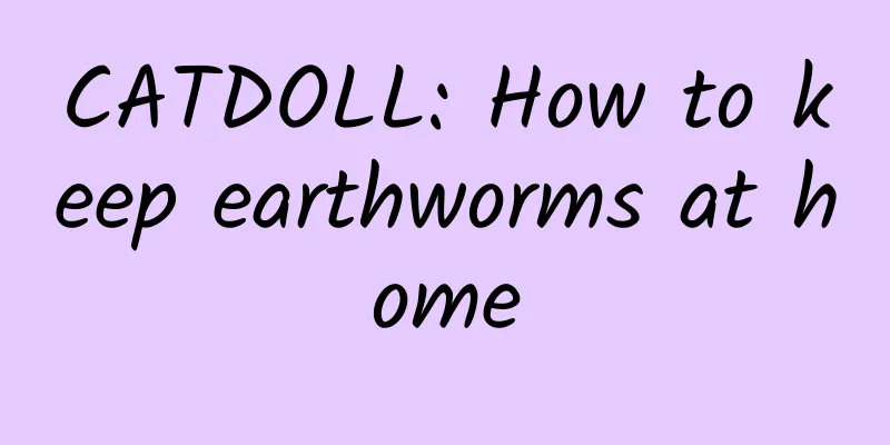 CATDOLL: How to keep earthworms at home