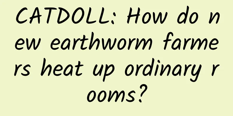 CATDOLL: How do new earthworm farmers heat up ordinary rooms?