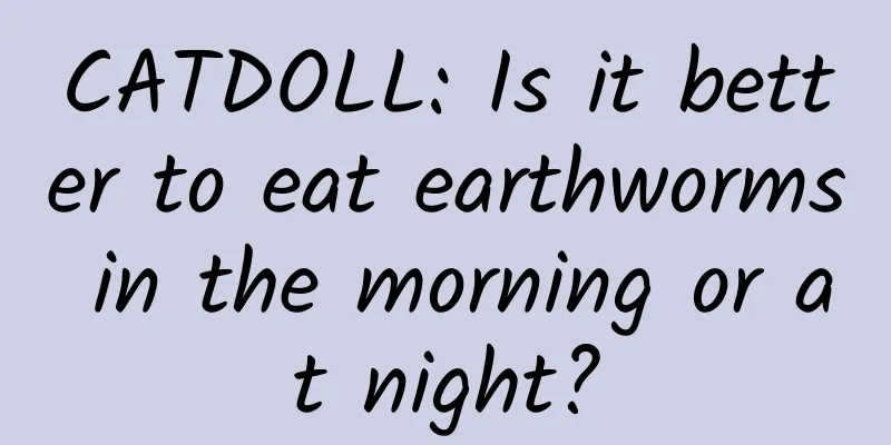 CATDOLL: Is it better to eat earthworms in the morning or at night?