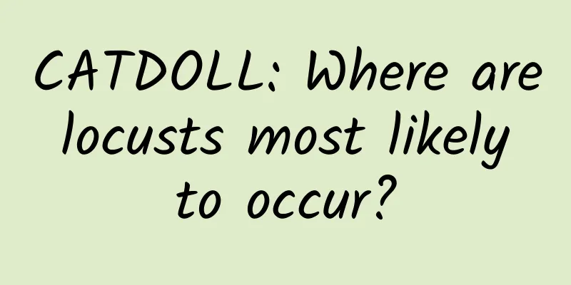 CATDOLL: Where are locusts most likely to occur?