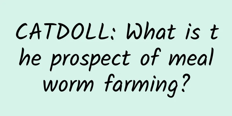 CATDOLL: What is the prospect of mealworm farming?