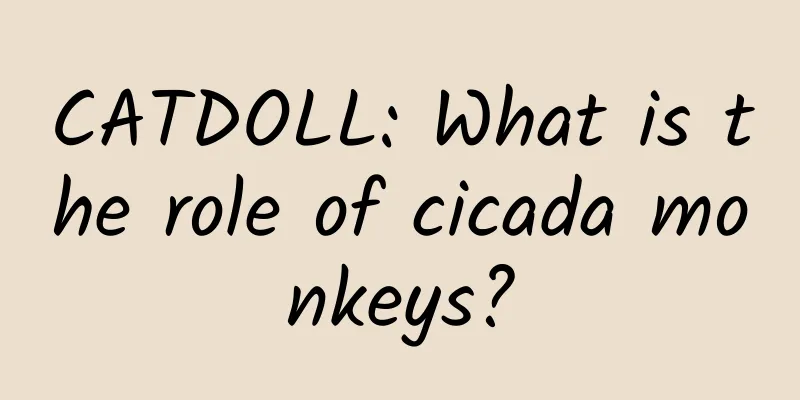 CATDOLL: What is the role of cicada monkeys?