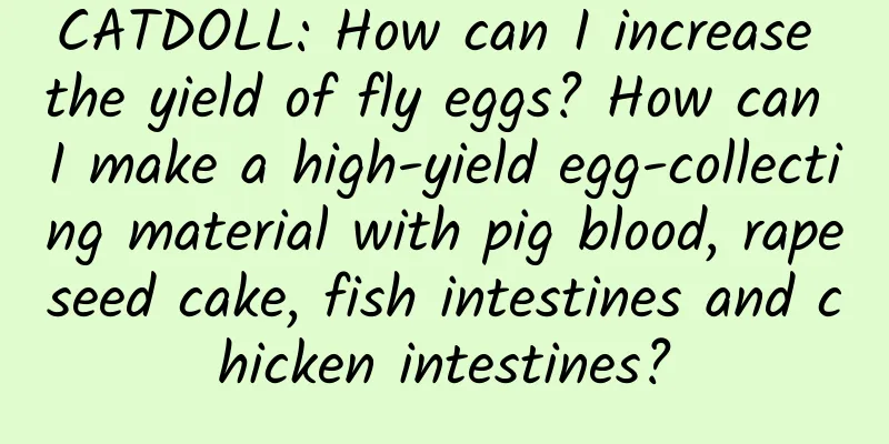CATDOLL: How can I increase the yield of fly eggs? How can I make a high-yield egg-collecting material with pig blood, rapeseed cake, fish intestines and chicken intestines?