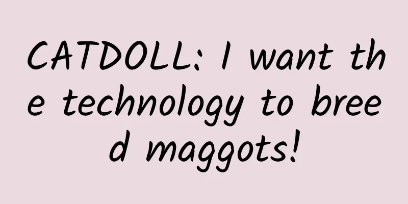 CATDOLL: I want the technology to breed maggots!