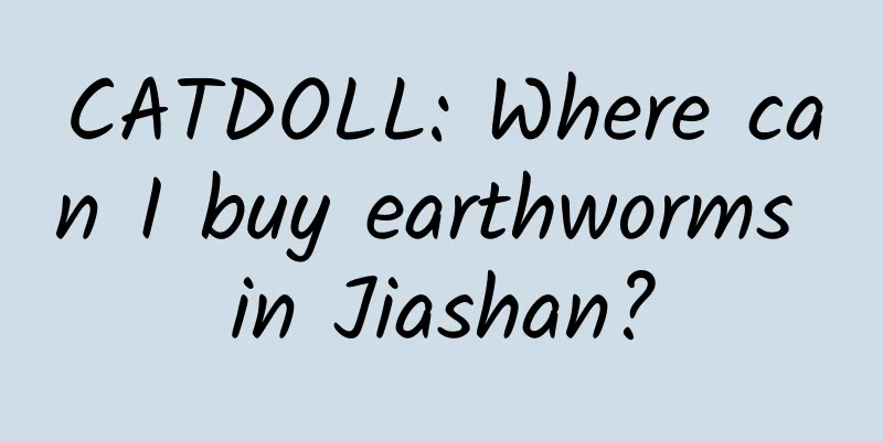CATDOLL: Where can I buy earthworms in Jiashan?