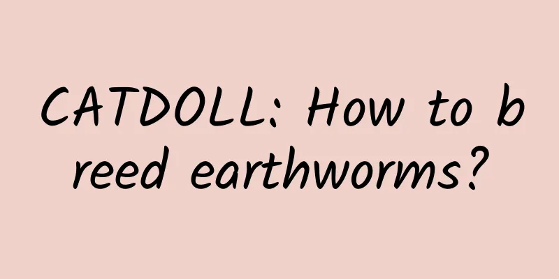 CATDOLL: How to breed earthworms?