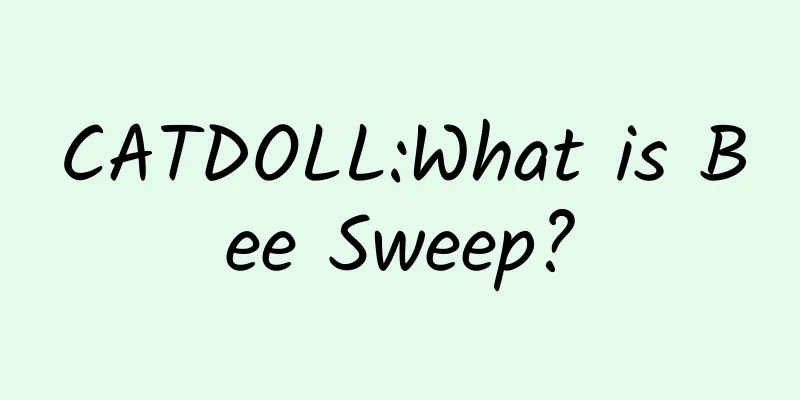 CATDOLL:What is Bee Sweep?