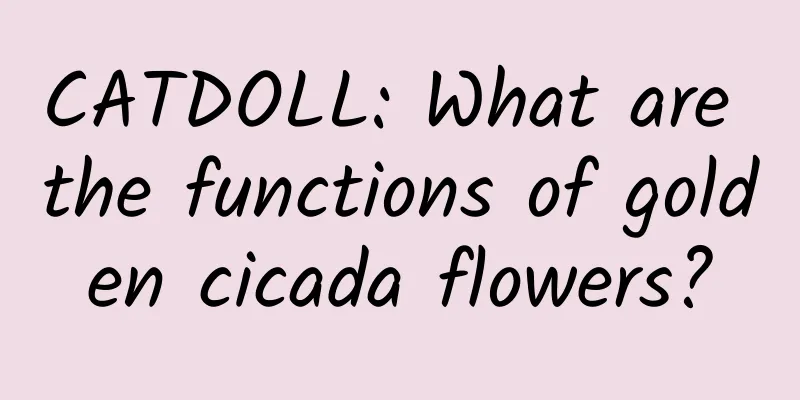 CATDOLL: What are the functions of golden cicada flowers?