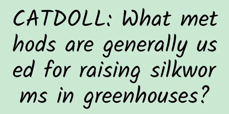 CATDOLL: What methods are generally used for raising silkworms in greenhouses?